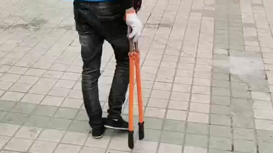 西安锦衣卫哈罗工作中